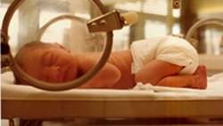 Cientistas querem reduzir morte de neonatos