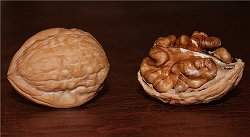 Nozes so as frutas oleaginosas mais saudveis, diz estudo