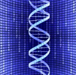 DNA humano possui superestruturas escondidas