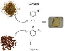 leos essenciais conservam pes 50% mais que aditivo comercial