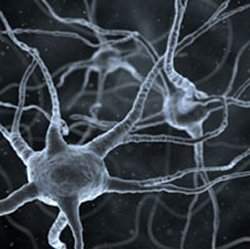 Parkinson pode ter origem periférica e migrar para o cérebro