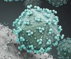 Polímero sintético impede que HIV entre nas células