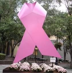 Cientistas defendem mudanças nas orientações sobre mamografia para prevenção do câncer de mama