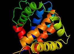 Proteína funciona como agente duplo nas infecções gastrointestinais
