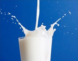Proteína do soro de leite protege intestino contra dieta gordurosa