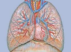 Tuberculose diminui no Brasil, mas ainda preocupa