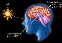 Luz artificial demais est nos deixando doentes?