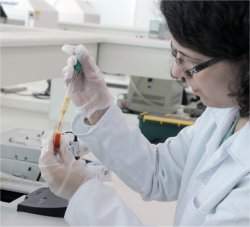 Nanotecnologia brasileira melhora medicamento contra tuberculose