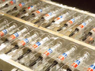 Instituto Butantan vai produzir vacina contra gripe do Hemisfério Norte
