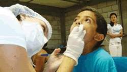 Colesterol alto dificulta cicatrização da mucosa bucal
