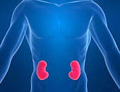 Creatina e exercícios físicos melhoram função renal de pacientes