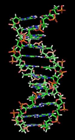 Europa aprova terapia que modifica DNA do paciente