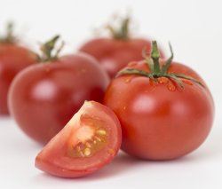 Tomate vira biofbrica de compostos naturais