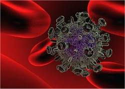 Vacina espanhola atinge 90% de proteção contra o HIV