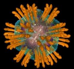 Revista científica dá destaque a teste único da hepatite C